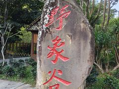 -野象谷景区