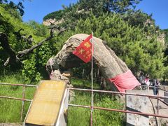 -藏山旅游风景区