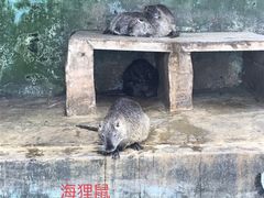 -昆明动物园