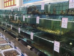 -海岛渔村大酒店(云霄路店)