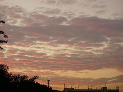 -闽江夜游台江旅游码头