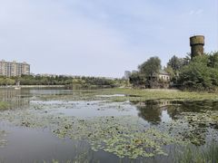 -红莲湖