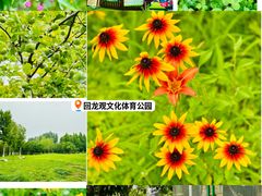 -回龙观体育文化公园