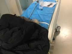 -吉林大学中日联谊医院(中心院区)