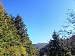-秦岭风景区