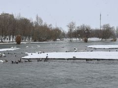 -博乐滨河公园