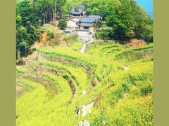 -篁岭景区
