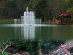 -广州白江湖森林公园