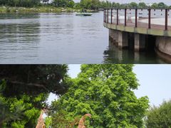-云里小坐·海泉湾·团建·宴席·下午茶(金堂海泉湾店)
