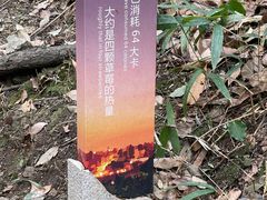 -杭州黄龙洞