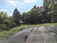 -野蔓果·山野菜(西湖景区·龙井茶田店)