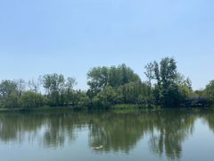 -溱湖国家湿地公园