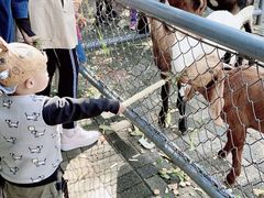 -长白岛森林公园