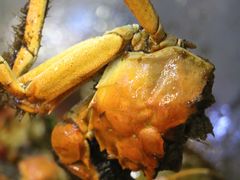 -二钳洞庭虾蟹·江湖菜(成都鹭岛店)