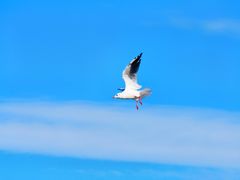 -铁路江上俱乐部