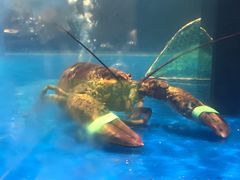 -百佳永辉超市(来福士广场店)