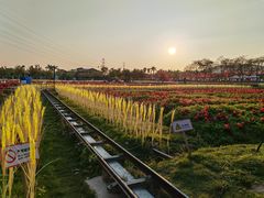 -盈香心动乐园