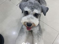 -佳雯宠物医院(金华南路分院)