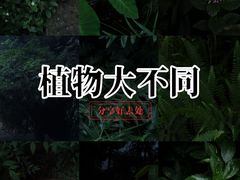 -成都市活水公园