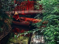 -棠湖公园