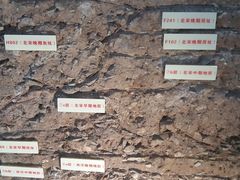 -南越王博物院(王宫展区)