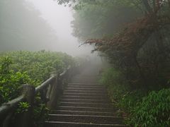 -梧桐山风景名胜区