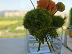 -君来湖滨饭店·渔餐厅