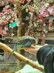 -酷嗒动物文化乐园(cutezoo西溪乐天城店)