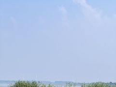 -七的湖·晚芳亭·阳澄湖农家菜·大闸蟹(莲花岛店)
