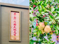 -华声天桥民俗文化园