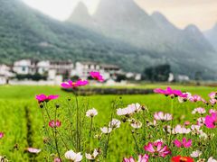 -万峰林风景区