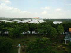 -大湾区中央湿地公园