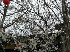 -小陈方酥锅盔(古城总店)
