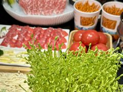 -番食园鲜食火锅(高新店)