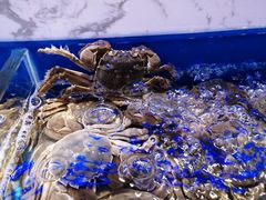 -澜悦港海鲜体验主题餐厅