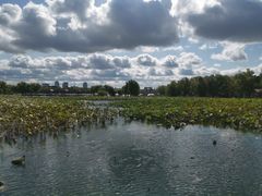 -长春市南湖公园