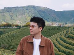 -白茶原·一片叶子