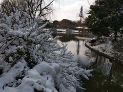 -荆川公园
