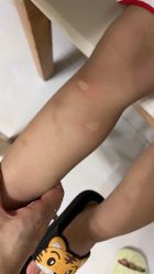 -木马王国淘气堡儿童乐园