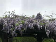 -白塘生态植物园