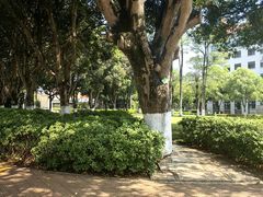 -厦门大学(思明校区)