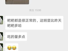 -翊宠yipet猫狗购宠庄园犬舍•猫舍