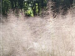 -苏州河梦清园环保主题公园