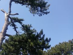 -妙峰山风景名胜区