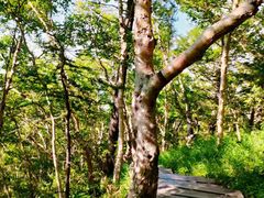 -白草畔自然风景区