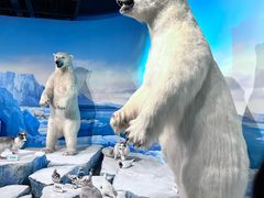 -陕西自然博物馆