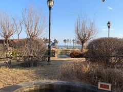 -青岛海泉湾度假区温泉