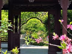 -嘉定紫藤园