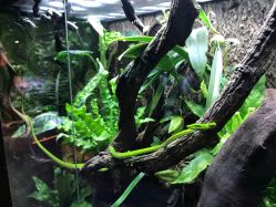 -酷嗒动物文化乐园(cutezoo西溪乐天城店)