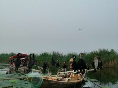 -白洋淀景区